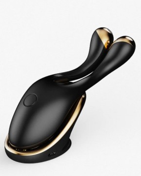 Red Light Therapy EMS Microcurrent RF Face Massager with 630nm Eye Beauty Instrument