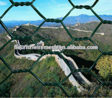 Hexagoanl chicken wire mesh supplier/Hexagonal wire mesh for sale