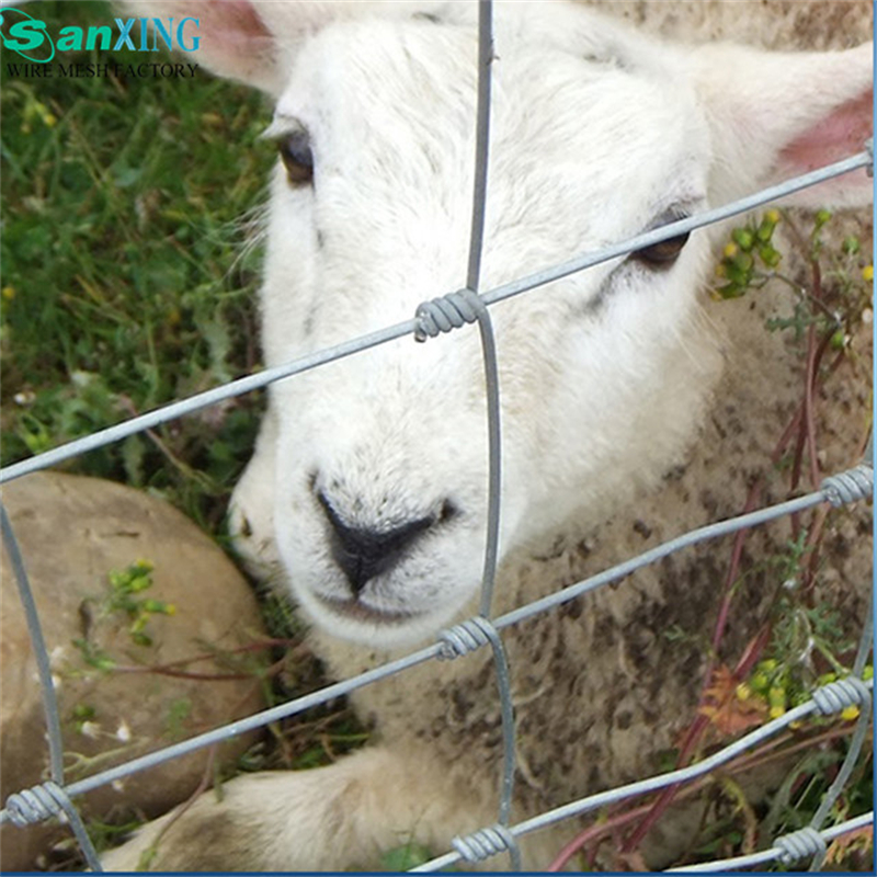 Cantidad de cerdo galvanizado de bisagra/cercado de campo