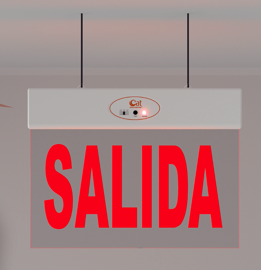 Ceiling mounted ABS exit sign for hotels