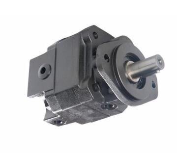 Hydraulic Gear Motor