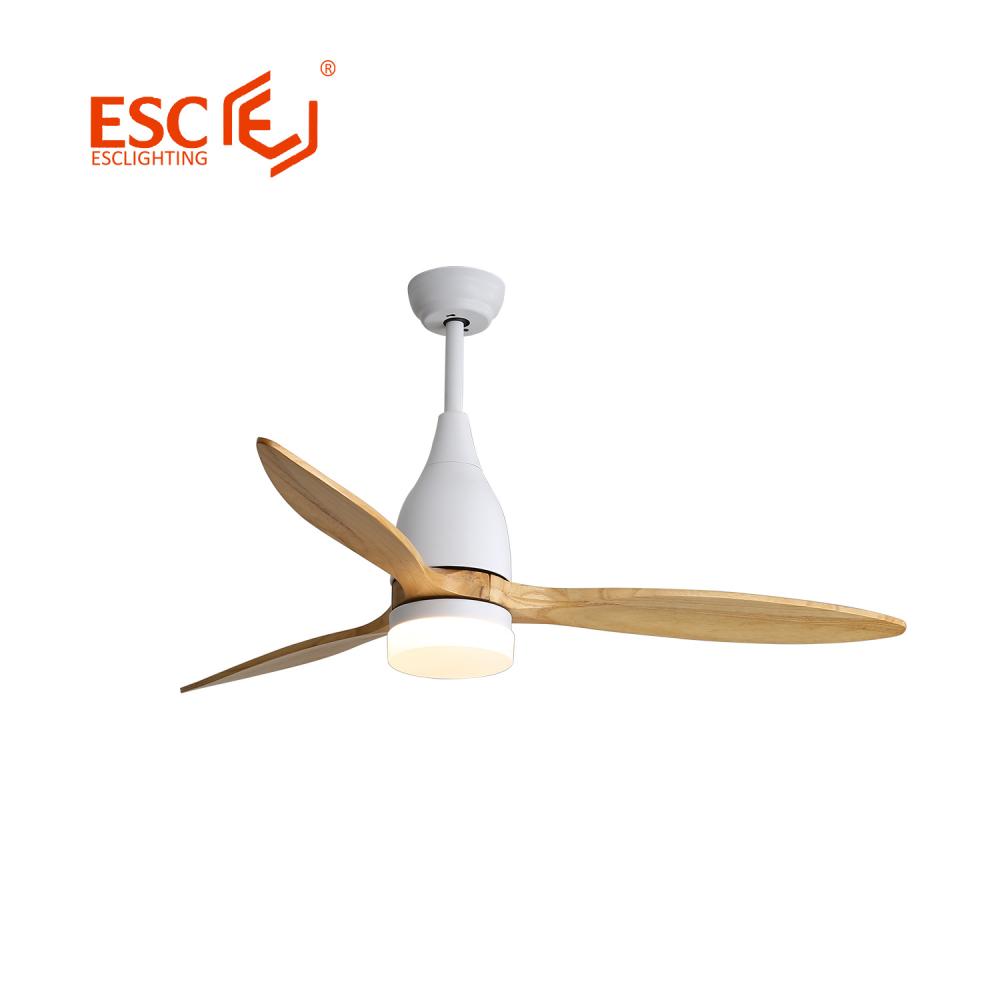 smart ceiling fan light