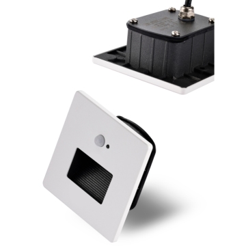 Motion Sensor Step Light