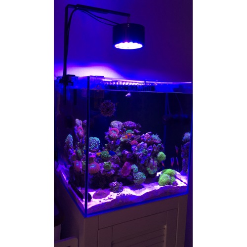 Phlizon Aquarium Lightings Full Spectrum Fan Raffredding 2022