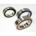 Ball screw support bearing