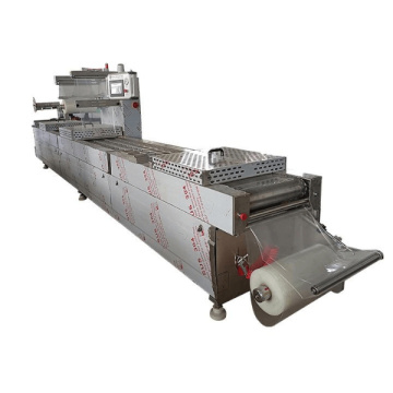 Professional Automatic Vacuum Packaging Machine