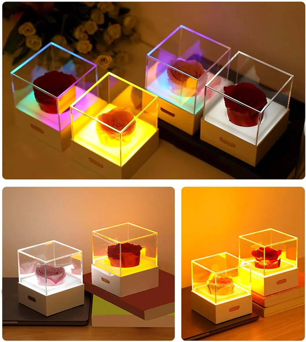 Whimsical USB Flower Night Light for Girls′ Rooms
