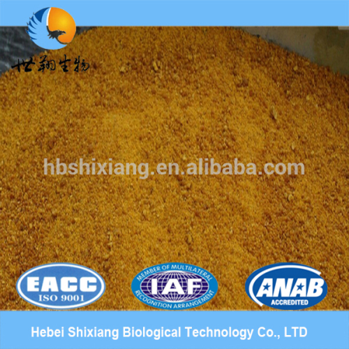 corn gluten 60% animal feed China