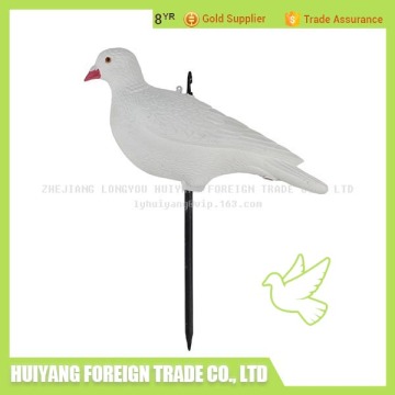 cheap racing pigeon for sale supplies