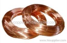 Bare Copper Wire?