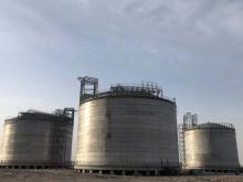 Flat Bottom Customized Cryogenic lng Receiving Storage Tanks