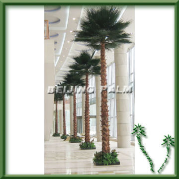 factory washingtonia fan palm tree