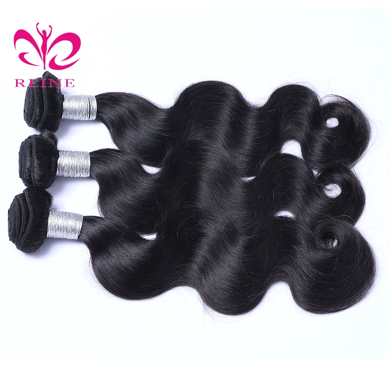 REINE 100% Full Cuticle Aligned Virgin Body Wave Hair bundle Unprocessed Human Hair virgin Malaysia hair