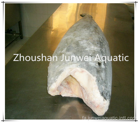 ماهی روغن منجمد تازه با کیفیت بالا