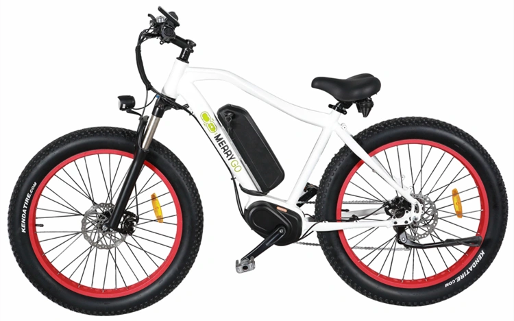 Fashionable Chinese 26 Inch Alloy Frame Electric Sport Bike MTB