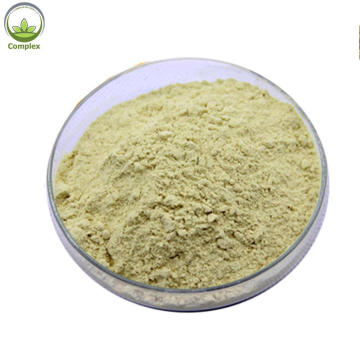 Natural Herbal Source Genistein Powder 98%