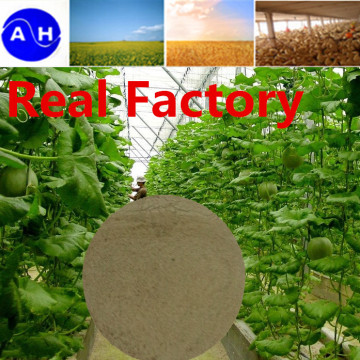 Calcium Boron Amino Acid Chelate Organic Fertilizer