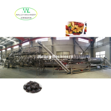 Industrial Raisin Drying Production Line for Fruits like Grapes, Prunes, and Apricots