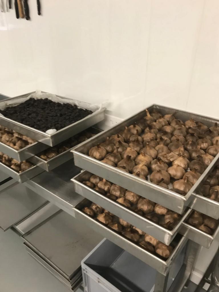 BLACK GARLIC 