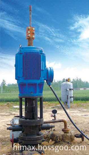 Direct Drive Screw Pump