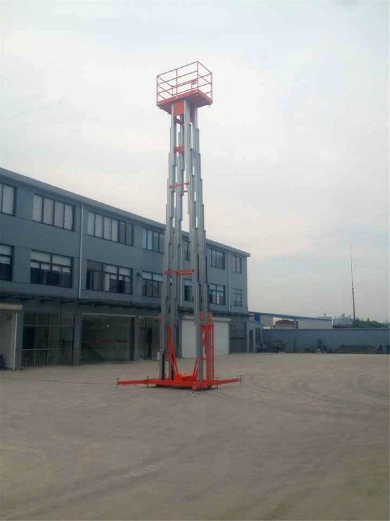 Electric Ladder Lifter
