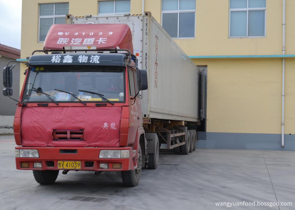 transport transport