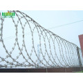 High Quality Galvanized Zazor Barbed Wire