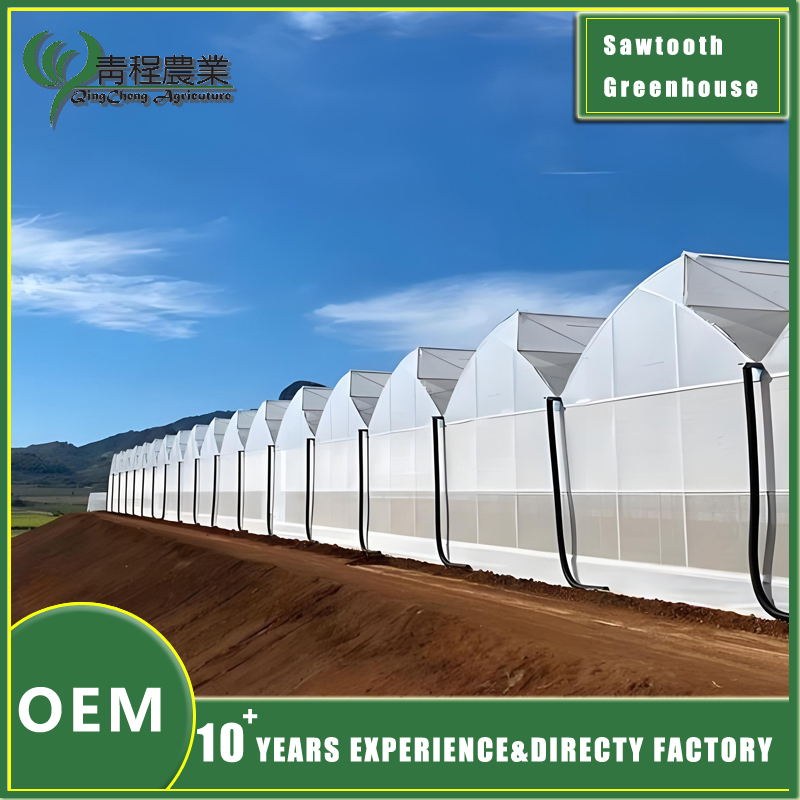 шматпралётная пілападобныя канструкцыя цяпліцы multi-span sawtooth greenhouse design