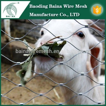 2014 China supplier zoo mesh/animal enclosure/zoo fence mesh