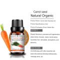 Natural Organic Whitening Anti Aging Face Carrot Seed Oil