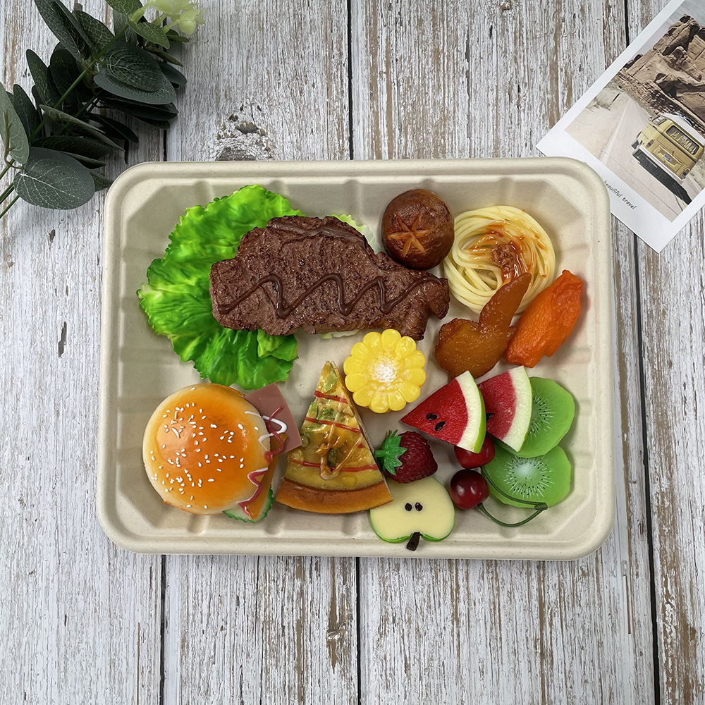 takeaway food container tray