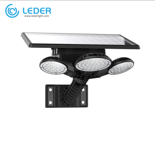 Lampadaires LED solaires décoratifs à distance LEDER