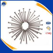 Product common nail common wire nail