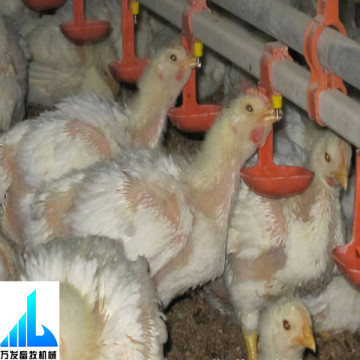 poultry nipple drinking system