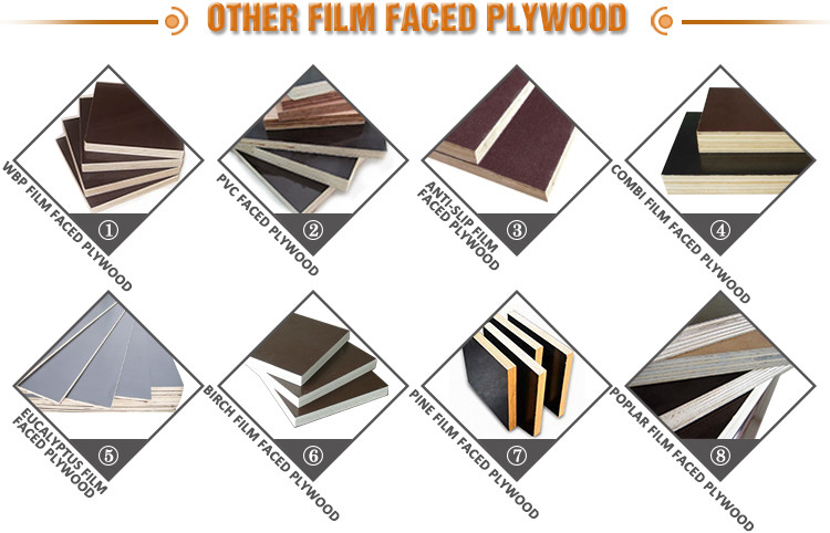 building cover plate/water template/film coated plywood