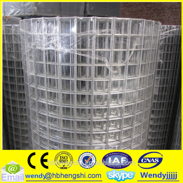 100mmx100mm welded wire mesh roll/welding mesh