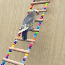 Птицы Домашние Животные Попугаи Лестницы Восхождение Игрушки