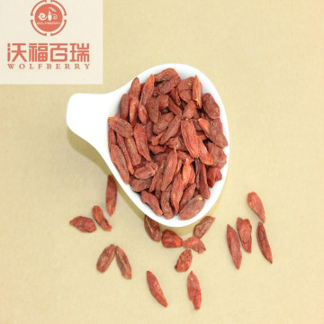 Goji berry/ Wolfberry /Low Price goji berries