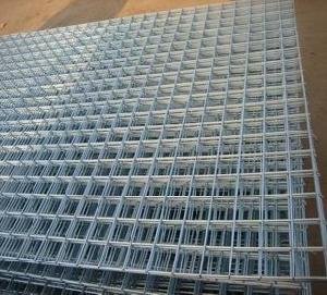 Welded Wire Mesh in Good Quality With ISO9001;TUV ;CE  Certification in Hot Sale(Factory Price)