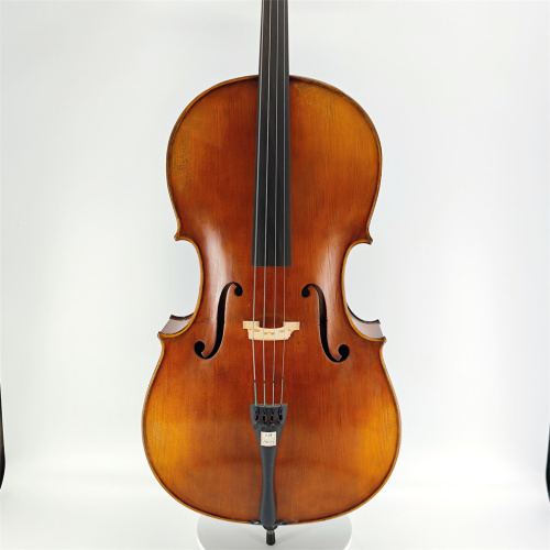 Bästa professionella avancerade cello