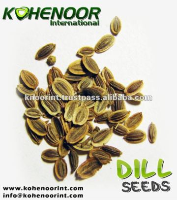 Dill Seed