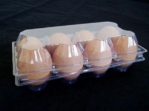 Moldeado y muestras Molding and Samples