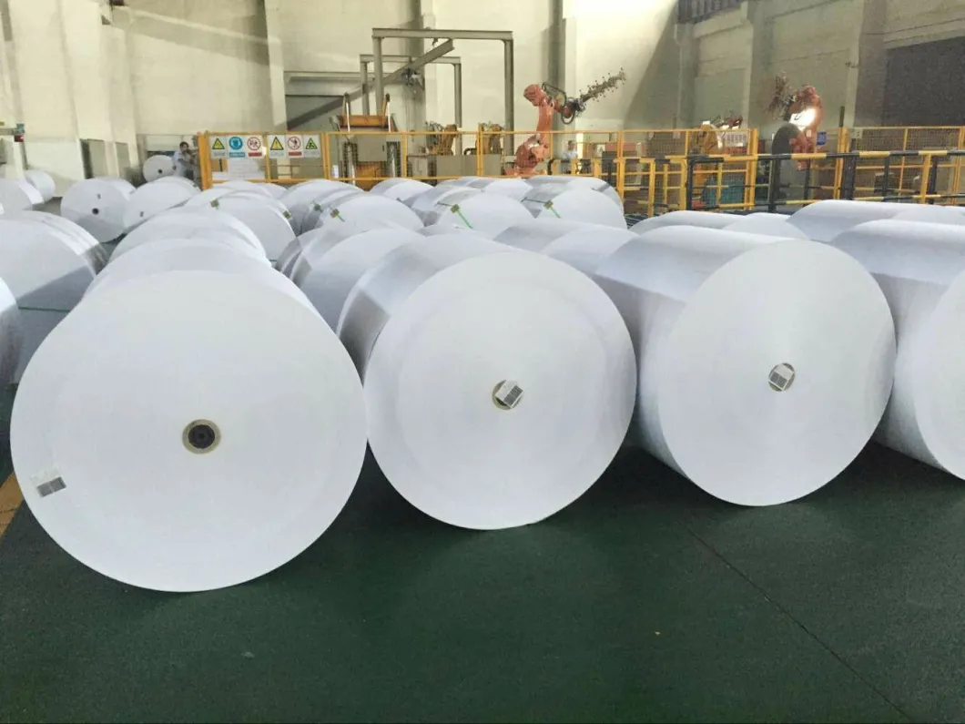 Offset Paper in Reels for Daily Using