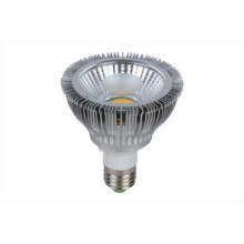 2013 VASTINO LED PAR light