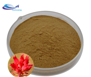 Best sale pure horsetail extract powder horsetail extract