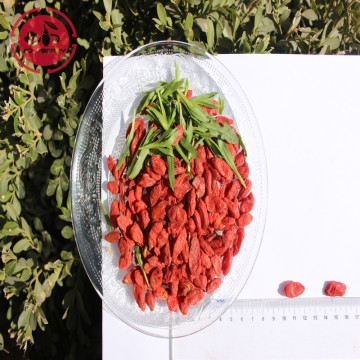 Vitamins Low Fat Nutrition Low pesticide Goji Berries