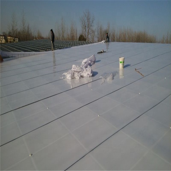 建筑材料固体聚碳酸酯板窗户和门条目庇护所6 construction materials solid polycarbonate sheet for window and door entries shelter6