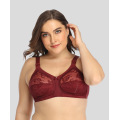 Soutien-gorge grande taille en dentelle transparente