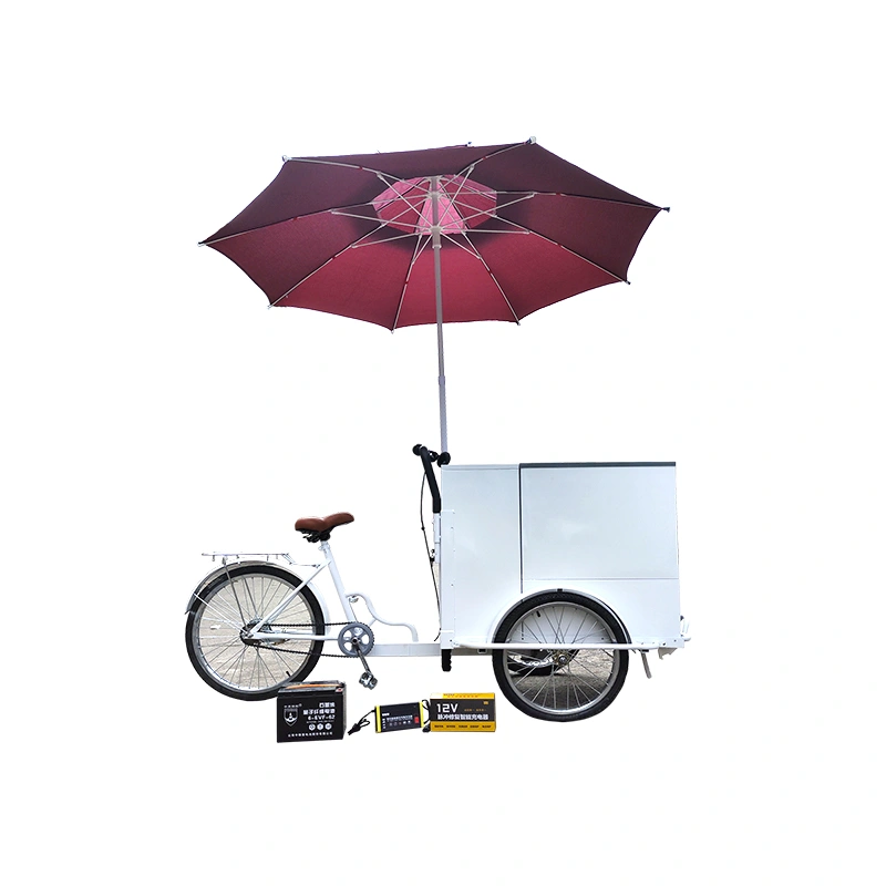 Commercial ice cream cart freezer bicycle cart selling China Manufacturer