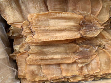 Frozen Seafood Frozen Whole Squid Body